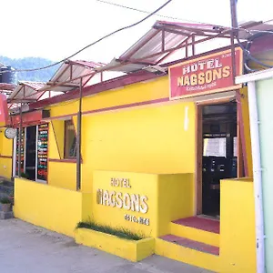 https://hotel-nagsons.shimlahotels.net